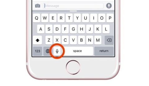 IPhone Voice To Text Not Working: Here Is The Solution - Phone Gnome